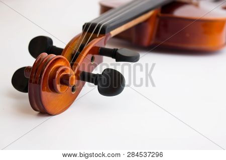 Violin Or Fiddle In White Background, Viola