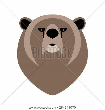 Bear Face, Vector Illustration ,  Front View, Flat Style