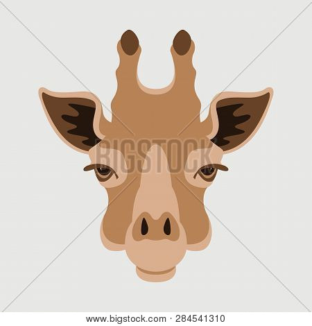 Giraffe  Face, Vector Illustration ,  Front View, Flat Style