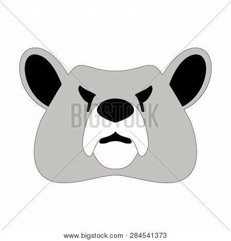 Bear Face, Vector Illustration ,  Front View, Flat Style