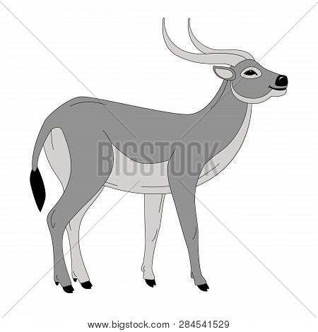 Antelope, Vector Illustration ,  Profile View, Flat Style