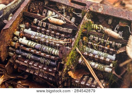 Old Tv Tuner Channel Selector With Moss In Fall Leaves
