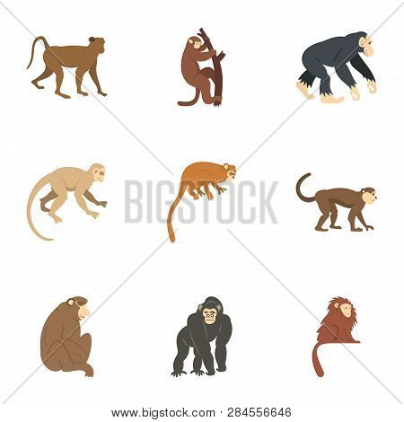 Jungle Monkey Icon Set. Flat Set Of 9 Jungle Monkey Icons For Web Isolated On White Background