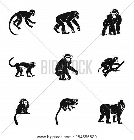 Tropical Monkey Icon Set. Simple Set Of 9 Tropical Monkey Icons For Web Isolated On White Background