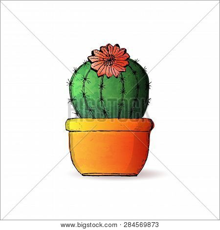 Watercolor Potted Plants And Succulents. Vector Illustration.