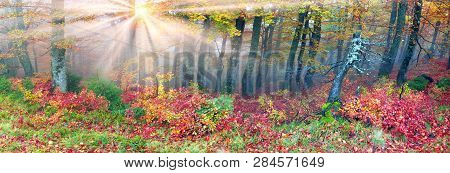 Autumn In The Mountains Of Europe
