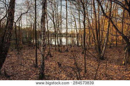 Small Lake Behind The Bare Trees At The End Of A Sunny Day In The Winter Season. The Photo Was Taken