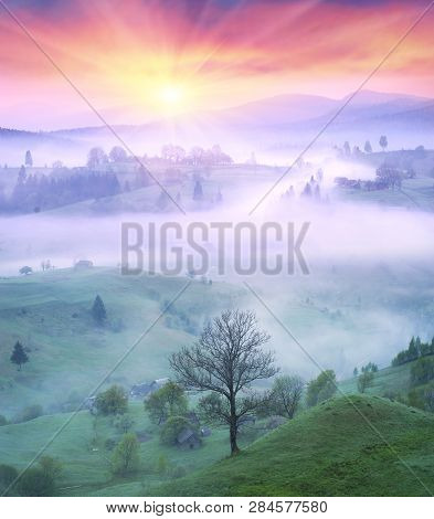 Lazeyschina Lazeshchyna Village In The Mist