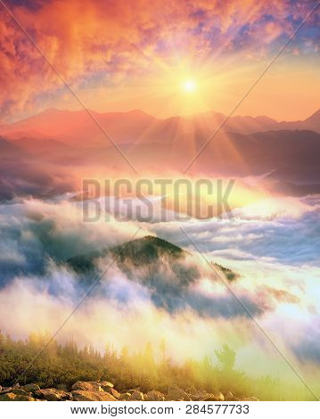 Morning At The Top Of The Mountain Hamster