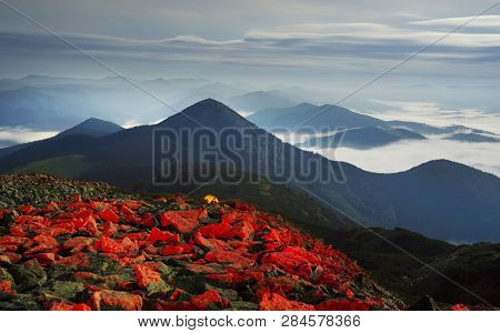 Night Misty Mountains
