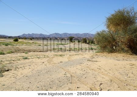 The Cracked Ground In The Desert