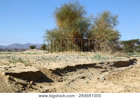 The Cracked Ground In The Desert