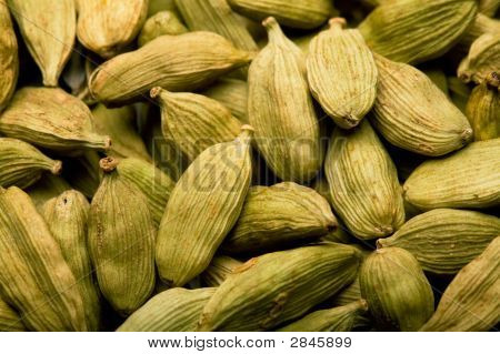 小豆蔻荚