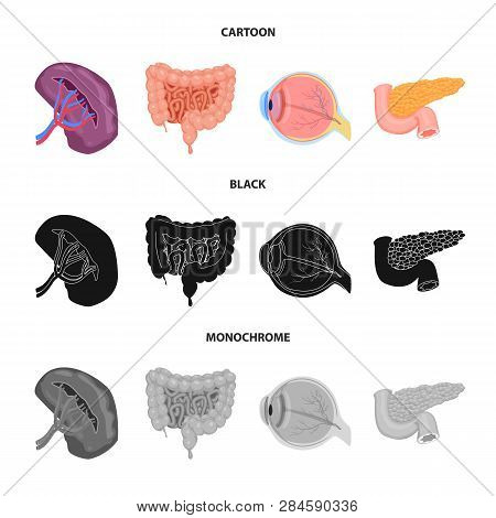 Vector Illustration Of Body And Human Logo. Collection Of Body And Medical Stock Vector Illustration