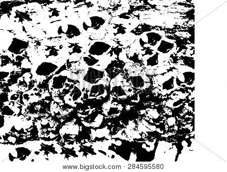 Shells On Wood Black And White Urban Rough Texture Vector. 
Place Over Any Object Create Black Grung