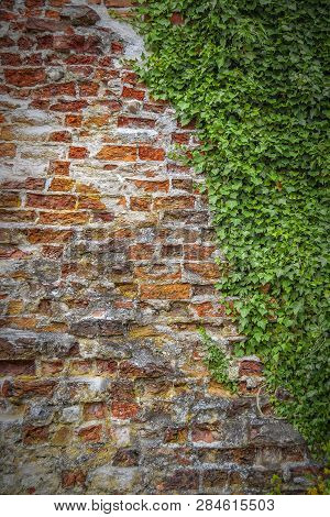 Ahus City Wall Remains