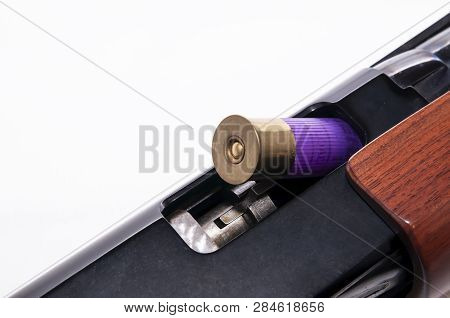 A Purple 12 Gauge Shotgun Shell Shown Partially In The Chamber Of A 12 Gauge Shotgun On A White Back