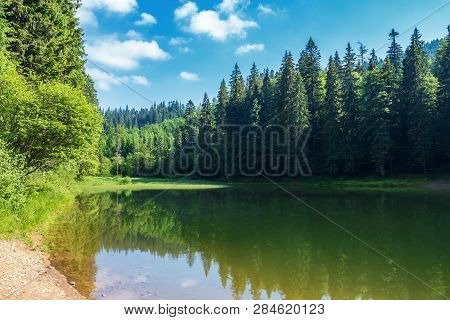 Lake Among Spruce Forest In Mountains. Trees Reflecting In The Water Surface. Wonderful Summer Scene