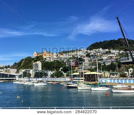 A View From Clyde Quay Wharf Of Sailboats Anchored In Lambton Harbour With Beautiful Homes On The Hi