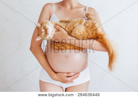 Pregnant Woman In White Underwear With Cute Ginger Cat. Young Woman Expecting A Baby. Risk Of Infect