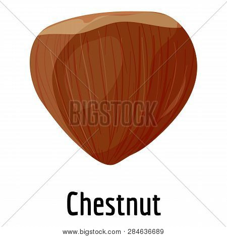Chestnut Icon. Cartoon Of Chestnut Vector Icon For Web Design Isolated On White Background