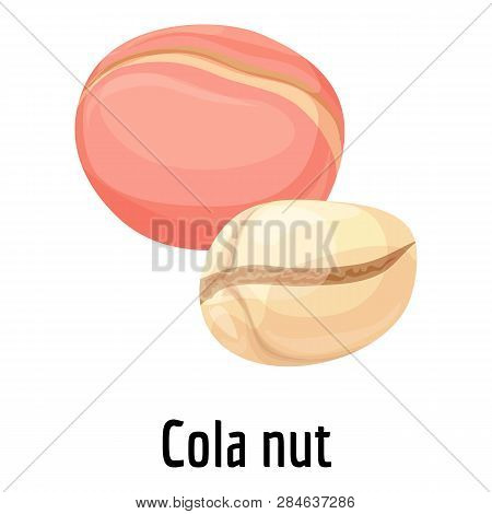 Cola Nut Icon. Cartoon Of Cola Nut Vector Icon For Web Design Isolated On White Background