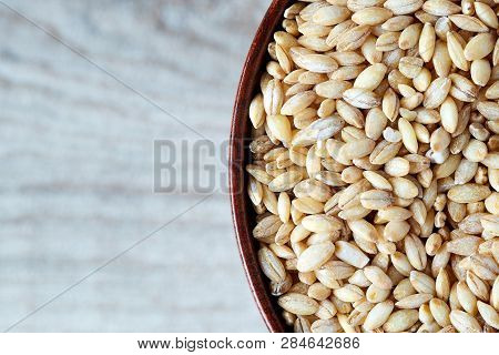 Barley Grain (hordeum Vulgare) In Wooden Bowl. Top View With Copy Space