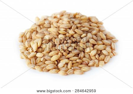 Barley Grain (hordeum Vulgare) Isolated On White Background
