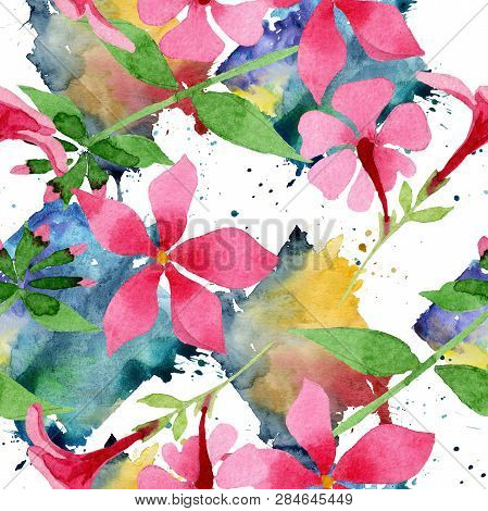 Pink Phlox Foral Botanical Flower. Watercolor Background Illustration Set. Seamless Background Patte