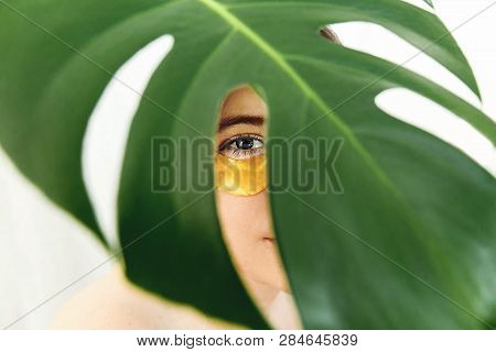 Portrait Of Beautiful Young Woman With Golden Gel Patch Under Eye At Green Palm Leaf, Creative Beaut