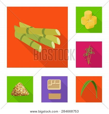Vector Illustration Of Plant And Plantation Icon. Collection Of Plant And Agriculture  Stock Symbol 