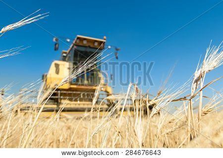 Agricultural Machinery Working On The Barley Tour With Sunny Day