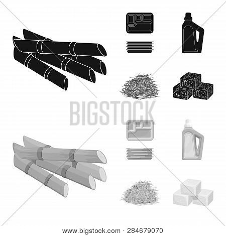 Vector Design Of Farm And Agriculture  Icon. Set Of Farm And Technology Vector Icon For Stock.