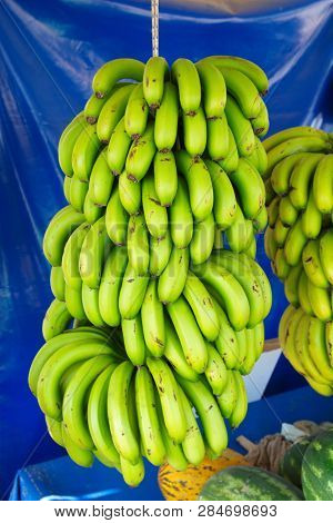 Turkish Anamur Bananas. Banana Cob Ready For Sale