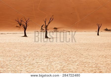 Beautiful Landscape In The Namib Desert At Deadvlei