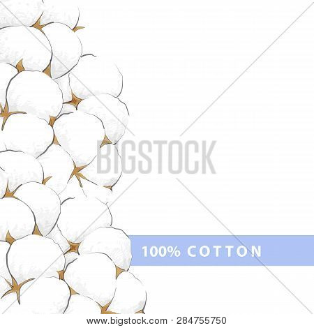 Delicate White Cotton Flower