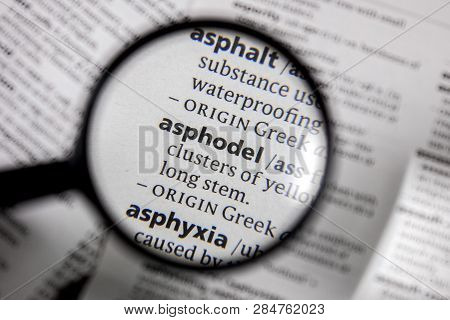 The Word Or Phrase Asphodel In A Dictionary Book.