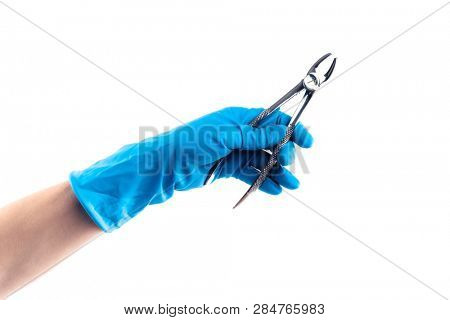 Hands in blue gloves holding dental flatterns isolated on white background