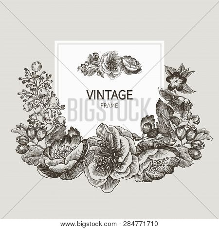 Beautiful Card With A Square Frame With Wreath Of Different Plants Of Vintage Garden And Forest. Bla