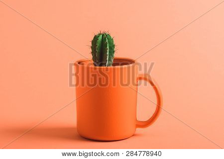 Green Cactus In Coral Coffee Cup On Coral Background, Color Of 2019 Concept