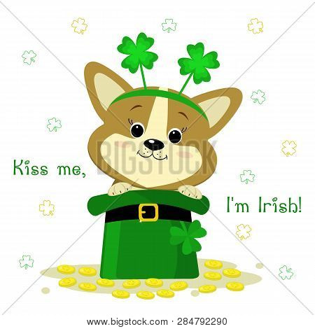 St.patrick S Day. A Cute Corgi Dog With A Rim With Clover, Sits In A Green Hat Of A Leprechaun, Gold