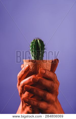 Partial View Of Woman With Coral Colored Hands Holding Coral Flower Pot With Green Cactus On Violet 