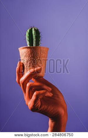 Partial View Of Coral Colored Female Hand With Cactus In Coral Flower Pot On Violet Background, Colo