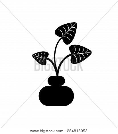 Leaves Of Plant In Pot Vector, Isolated Icon Of Houseplant With Foliage. Growing Botanical Frondage 