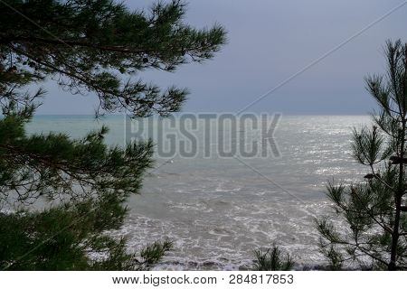 View Of The Stormy Sea From The Mountain Through The Pine Branches