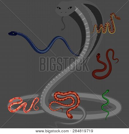 Vector Illustration Of Poison And Evil Logo. Set Of Poison And Bite Stock Vector Illustration.