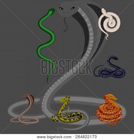 Vector Design Of Poison And Evil Symbol. Set Of Poison And Bite Stock Symbol For Web.