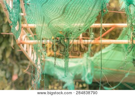 The Old Green Sun Protection Mesh And Lack. Can Not Prevent Sunlight.