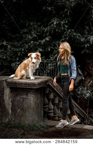 Cute Sexy Blonde Girl In Cool Jeans Jacket In Park With Her Dog, Border Collie