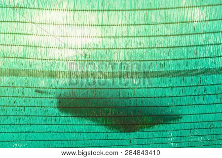 The Old Green Sun Protection Mesh And Lack. Can Not Prevent Sunlight.